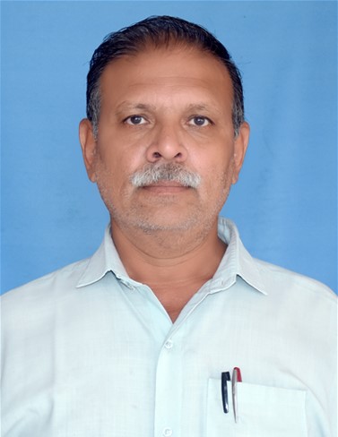 Shree Bharatbhai I. Mali