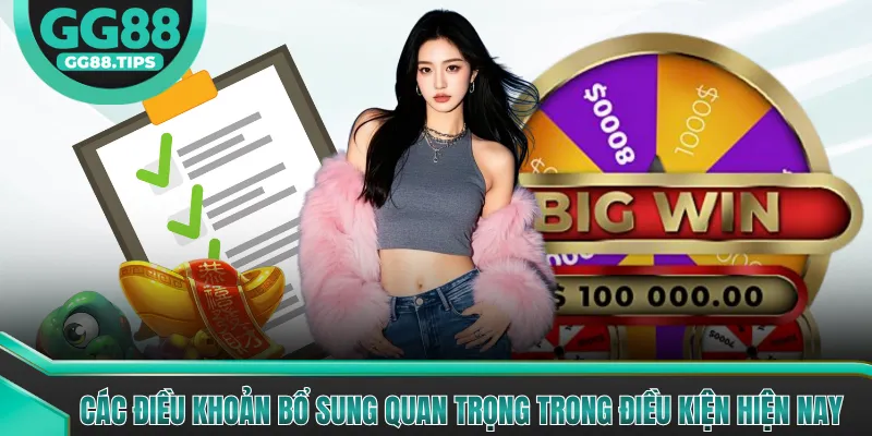 Các điều khoản bổ sung quan trọng trong điều kiện hiện nay